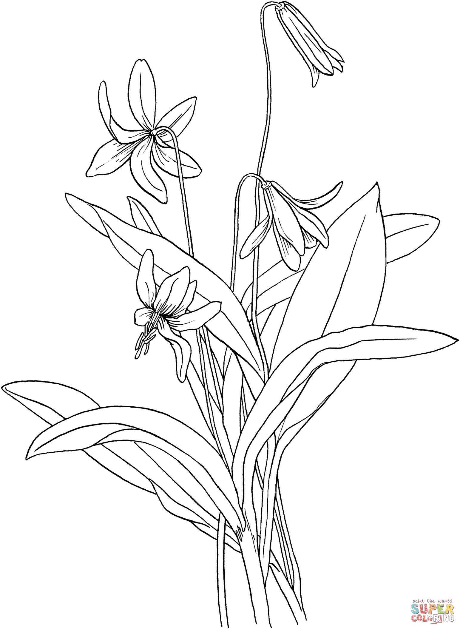 1542x2108 Cutthroat Trout Coloring Pages Online Coloring Printable