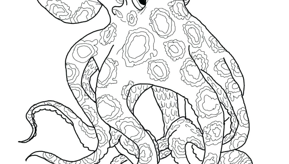 960x544 Squid Coloring Page