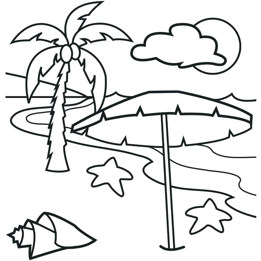 842x842 Palm Tree Coloring Page Palm Leaf Coloring Page Palm Tree Leaves