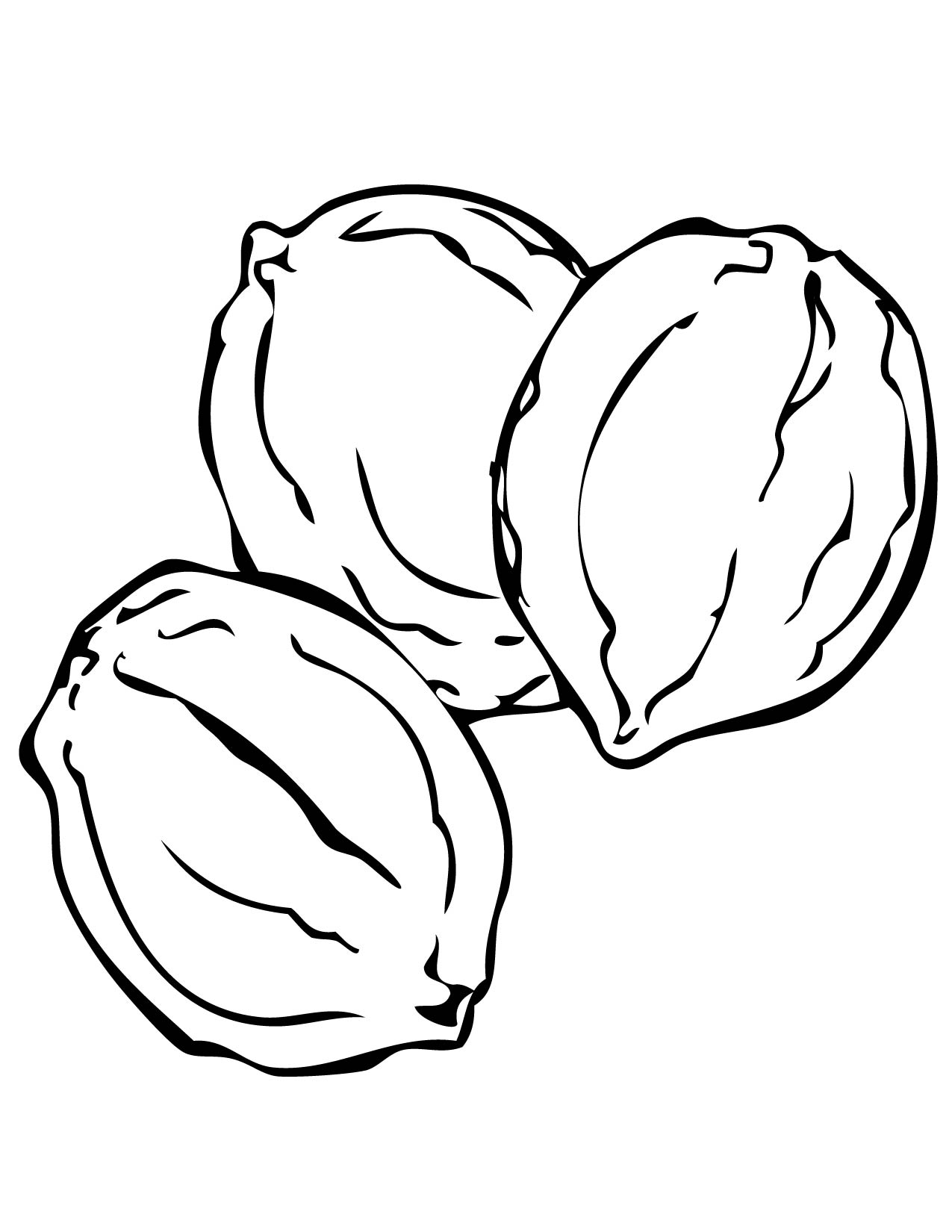 1275x1650 Walnut Coloring Page