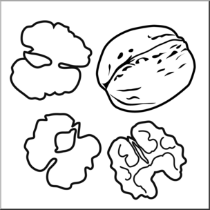304x304 Clip Art Walnuts Bampw I Abcteach