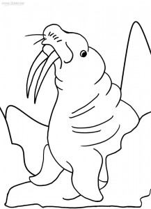 217x300 Printable Walrus Coloring Pages For Kids Cool2bkids