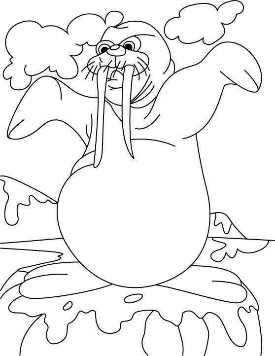 558x722 Demon Walrus Coloring Pages Download Free Demon Walrus Coloring