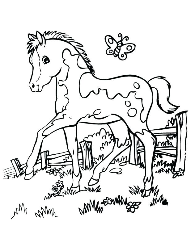 618x800 Coloring Pages To Print Free Printable Horse Sheets In Of Horses