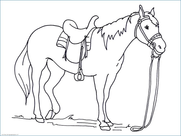 600x450 War Horse Animal Coloring Pages