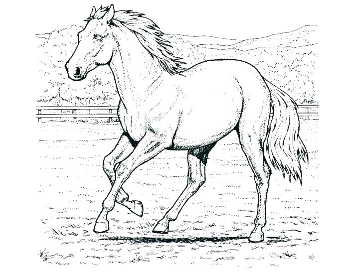 728x546 Coloring Pages For Adults Easy War Horse Stunning Toddlers
