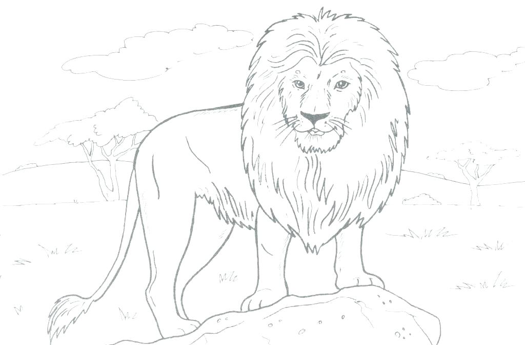 1024x672 Free Printable Lion Coloring Pages Lion Witch And