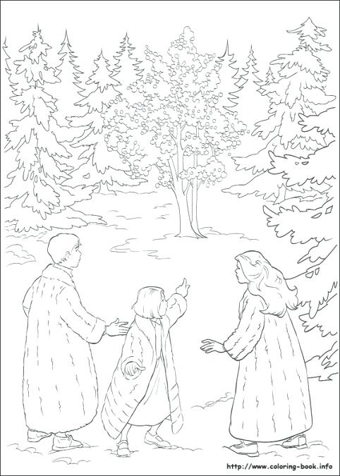 482x675 The Lion The Witch And The Wardrobe Coloring Pages Lion Witch