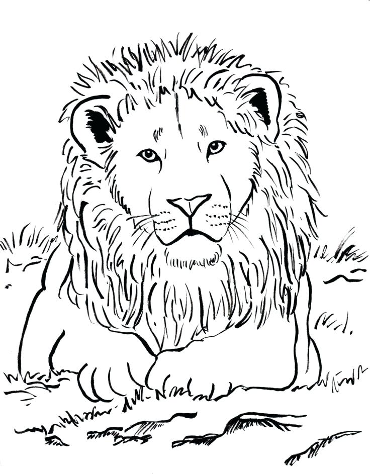 736x943 Coloring Page Lion Week 3 Upside Down Lots Of Animal Coloring