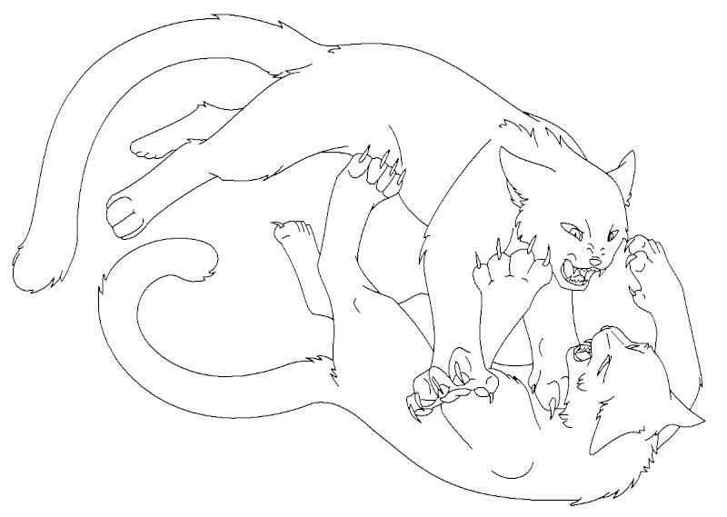 Warrior Cat Coloring Pages To Print