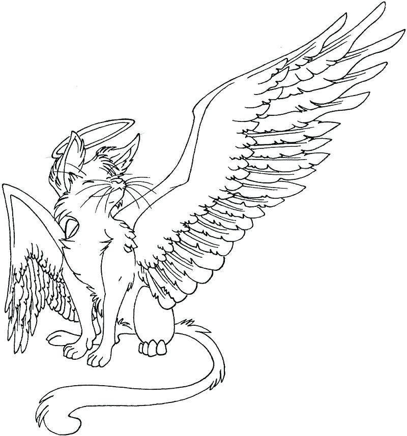 800x858 Warrior Cat Coloring Pages Mates Wing Super Wings Printable