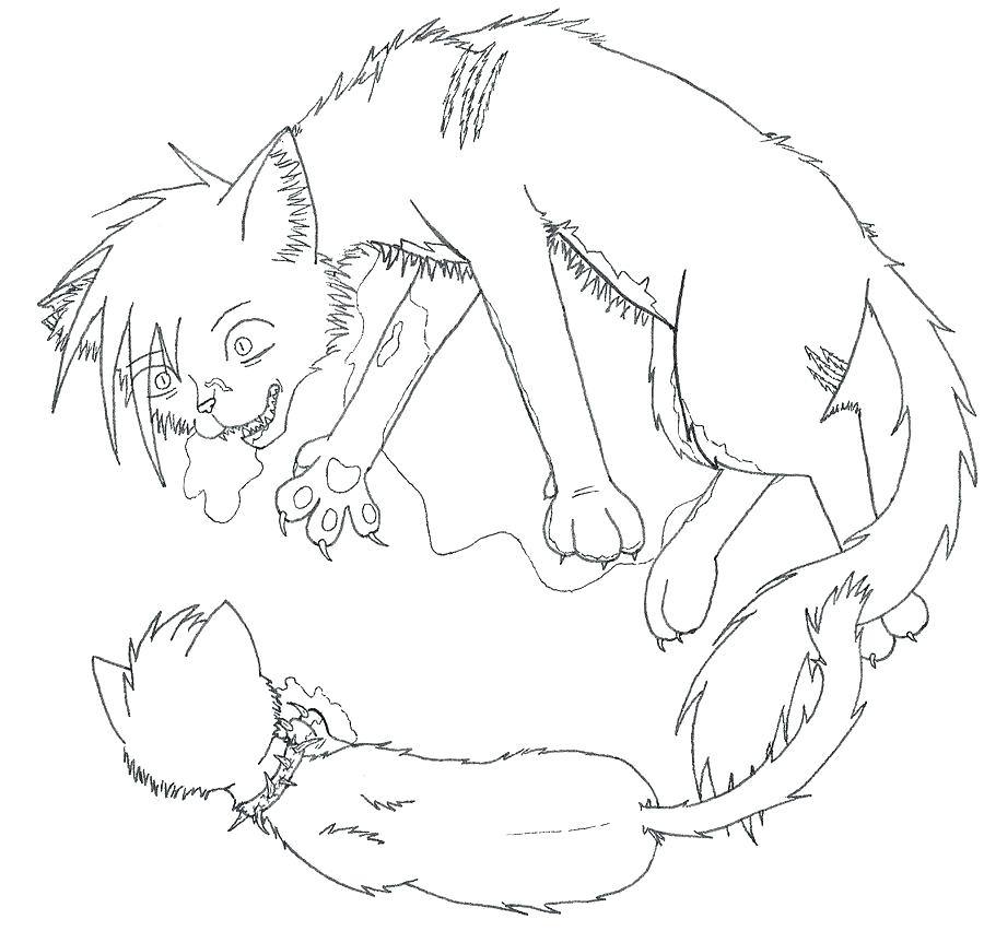 900x852 Warrior Cats Coloring Pages Warrior Cat Coloring Pages To Print