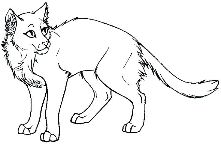 736x487 Coloring Pages Cat Top Rated Coloring Pages Cat Images Cat