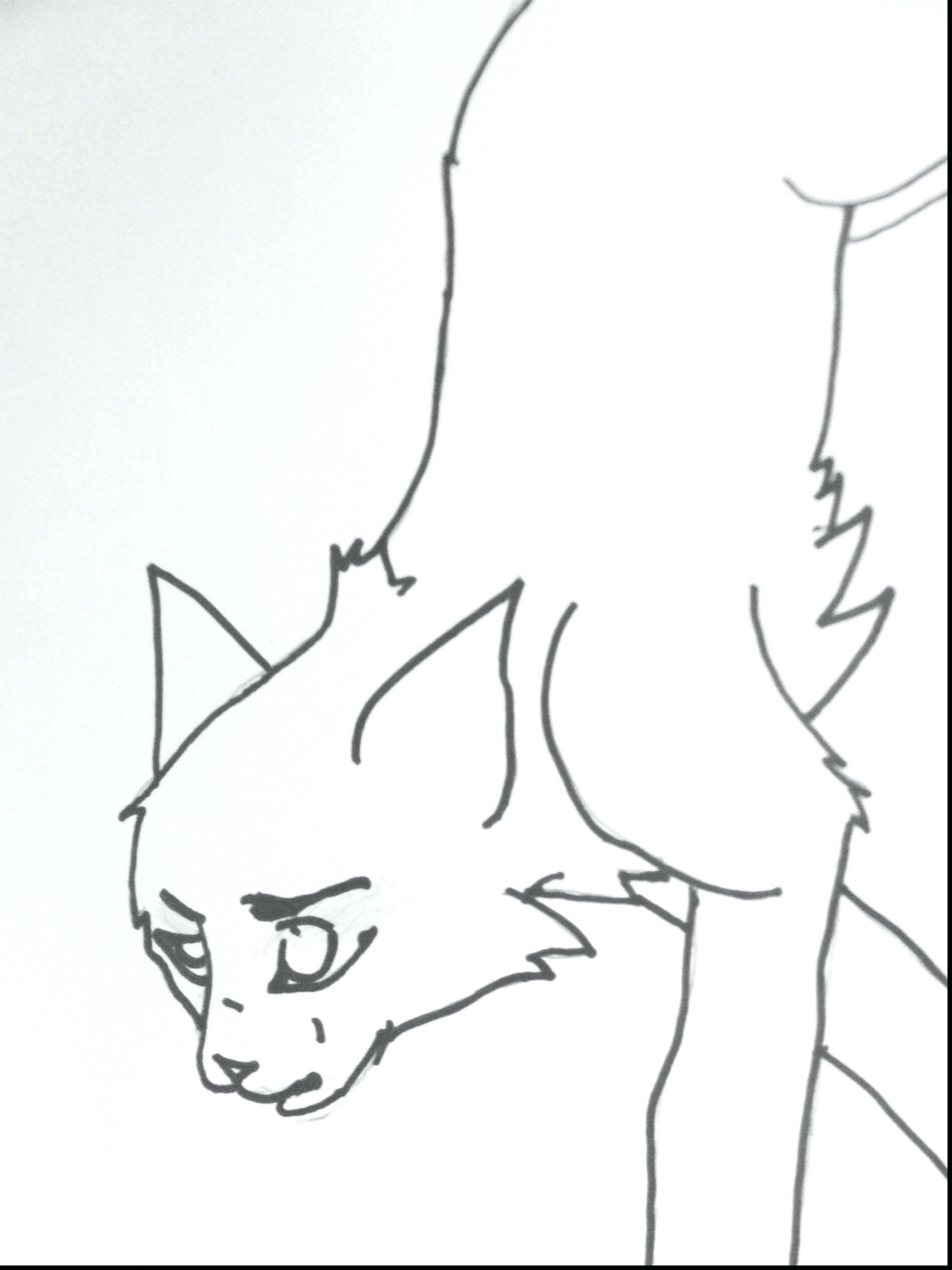 2112x2816 Printable Warrior Cats Coloring Pages Printable To Print