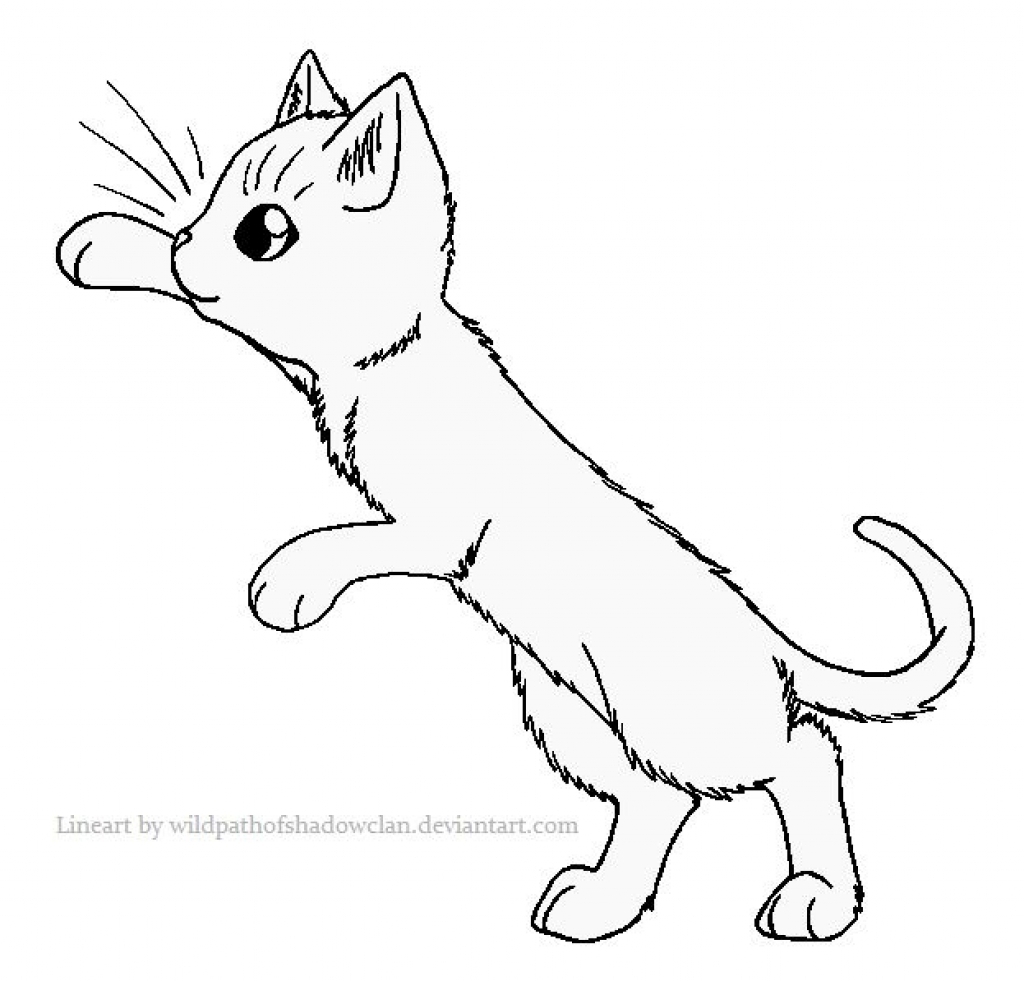 1024x981 Warrior Cat Coloring Pages