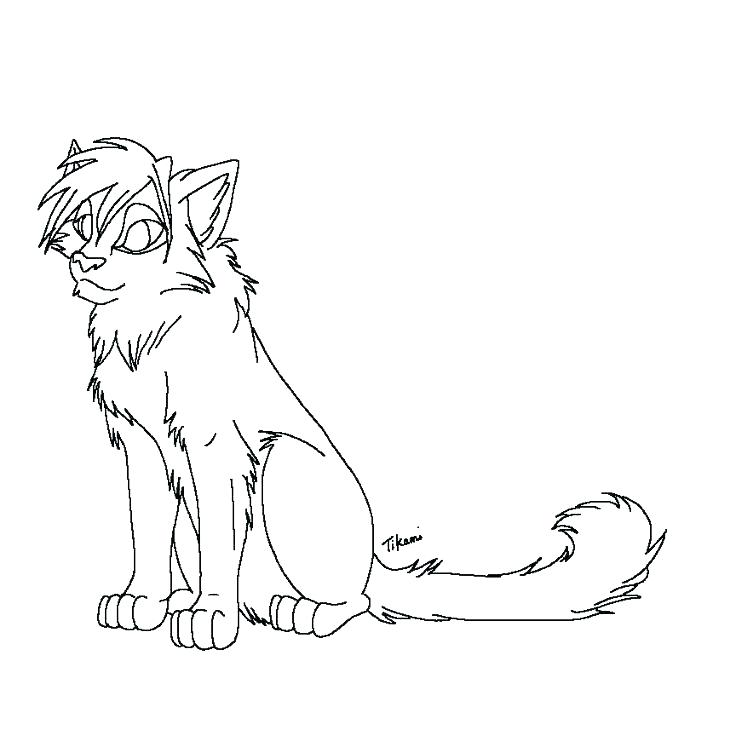 736x736 Warrior Cat Coloring Pages Cats Coloring Pages Pictures Of Photo