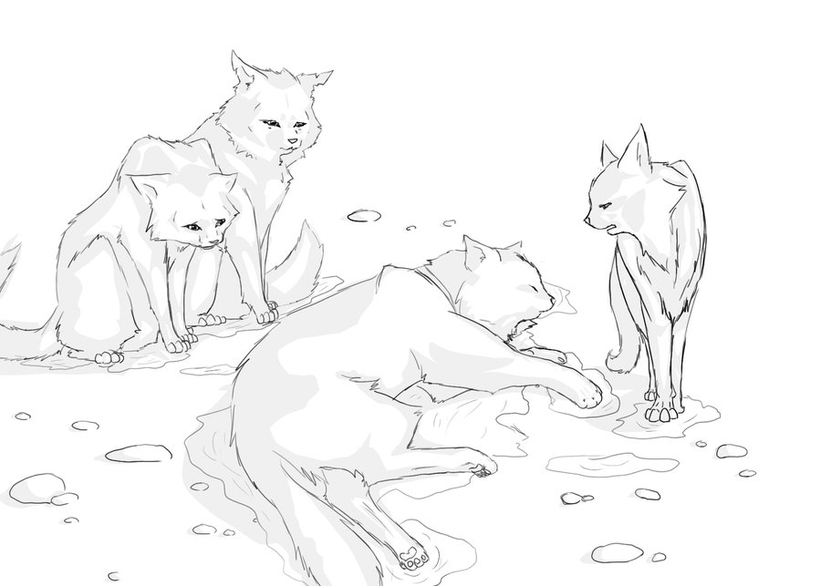 900x643 Warrior Cat Coloring Pages To Print 287038