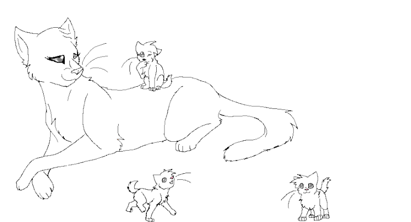 800x432 Warrior Cats Coloring Pages Printable Warrior Cats Coloring Pages