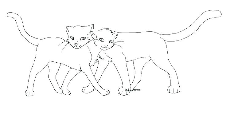 736x371 Astonishing Warriors Cats Coloring Pages