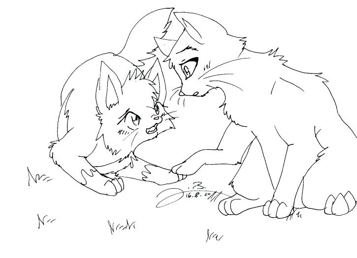 725x525 Warrior Cat Coloring Pages