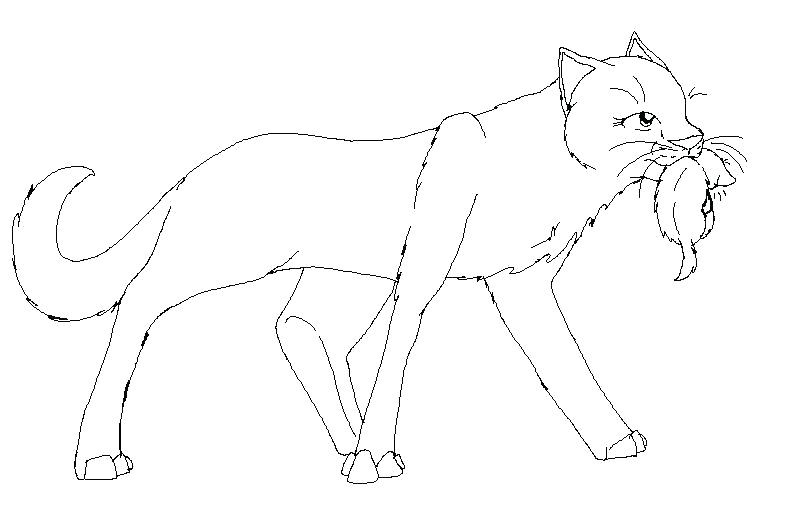796x515 Cat Coloring Pages Online Free Coloring Warrior Cats Couples