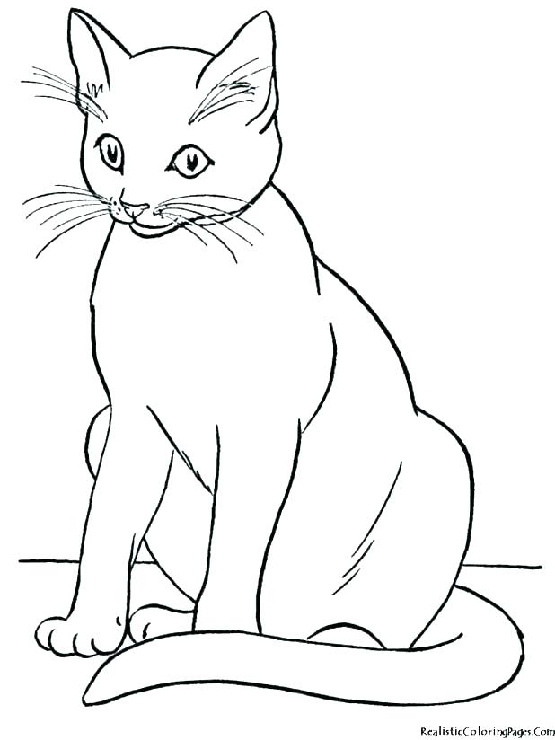 Warrior Cats Printable Coloring Pages