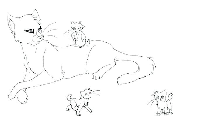 736x397 Unbelievable Cool Warrior Cats Coloring Print Pages Top Cat New