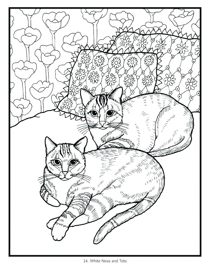 695x900 Cat Color Pages Printable Cat And Kitten Coloring Page Cats