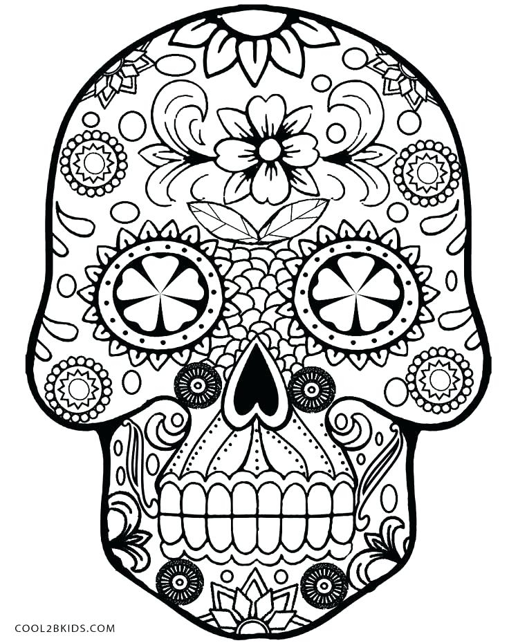 736x930 Golden State Warriors Coloring Pages Golden State Warriors