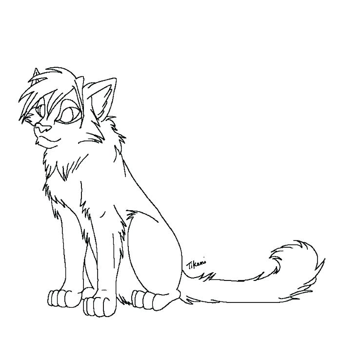 736x736 Astonishing Warriors Cats Coloring Pages Warrior Cat Coloring
