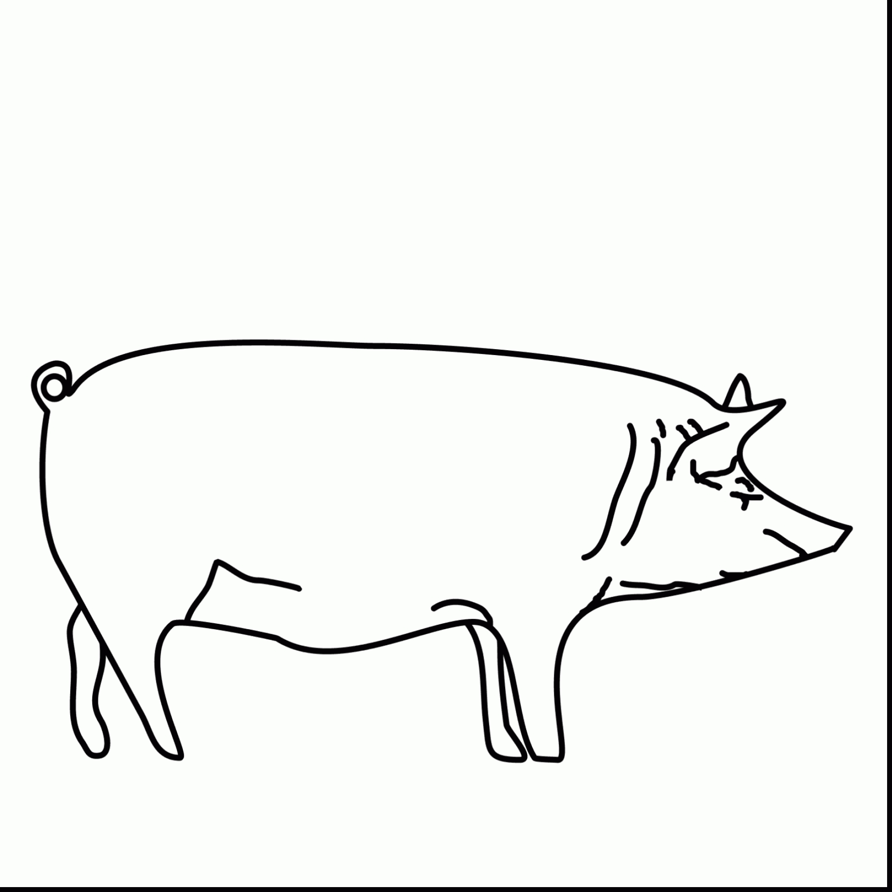 1819x1819 Fresh Boar Coloring Page Collection Printable Coloring Sheet