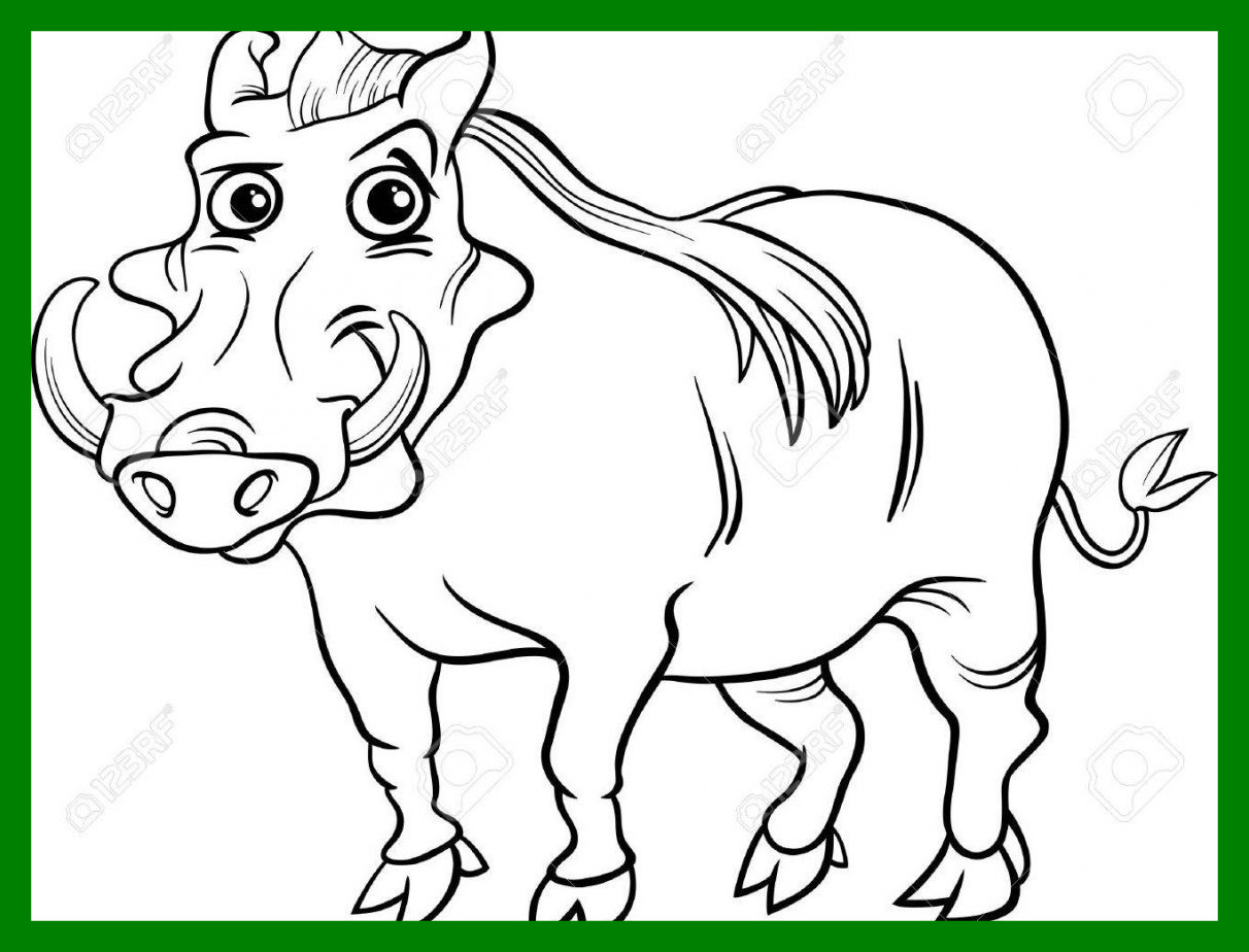 1212x924 Incredible Best Horse Line Art How To Drawings Of Pict Walking