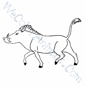 300x300 Warthog Coloring Pages