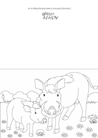 320x452 Warthogs