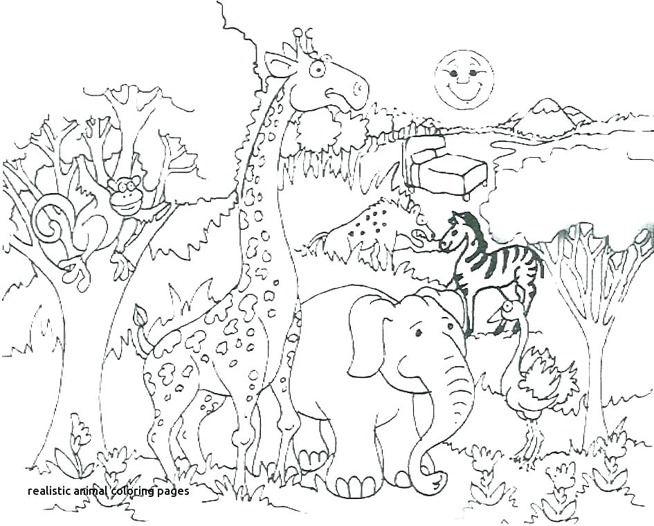 945x760 African Animal Coloring Pages Animals Coloring Pages Animal