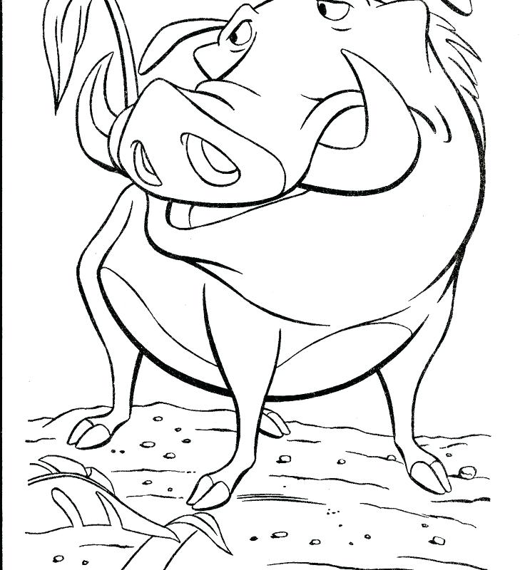 736x800 Art Of Coloring Disney Animals Animal Warthog Coloring Pages Free