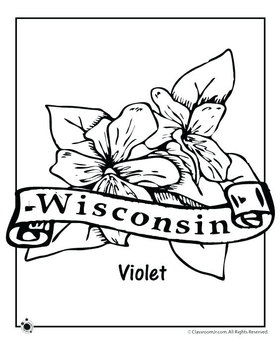 564x729 State Coloring Pages State Flag Coloring Page State Coloring Pages