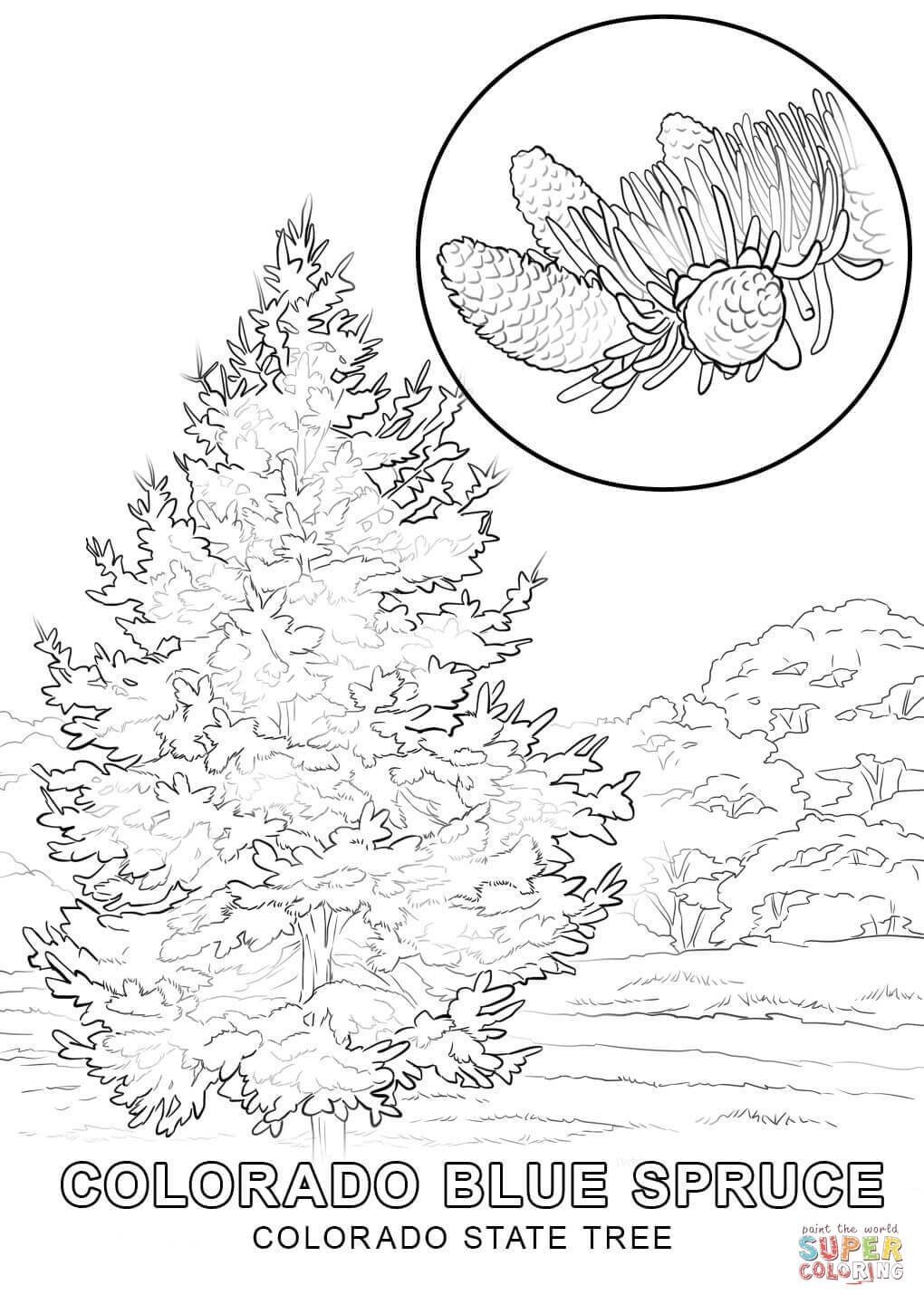 1020x1440 Colorado State Coloring Pages Beautiful Colorado State Flag