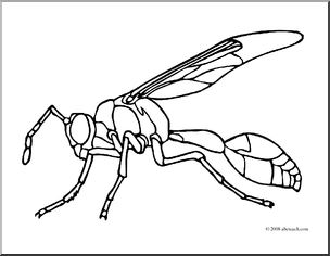 304x236 Clip Art Insects Wasp (Coloring Page) I Abcteach