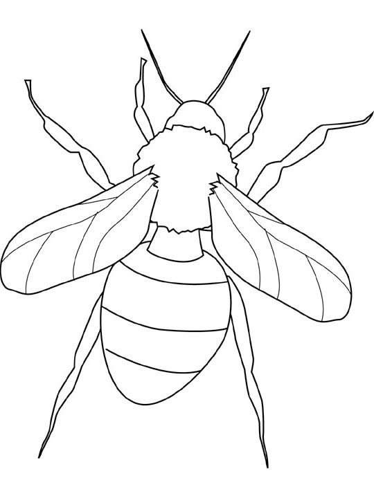 540x720 Coloring Pages Clip
