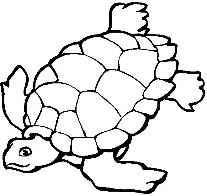 660x625 Ocean Coloring Pages