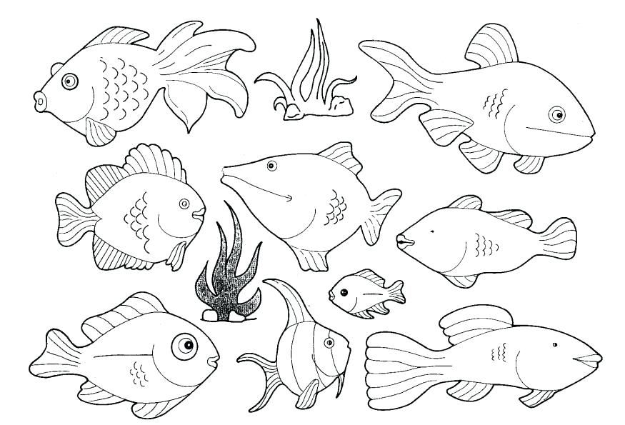 875x595 Ocean Animals Color Pages