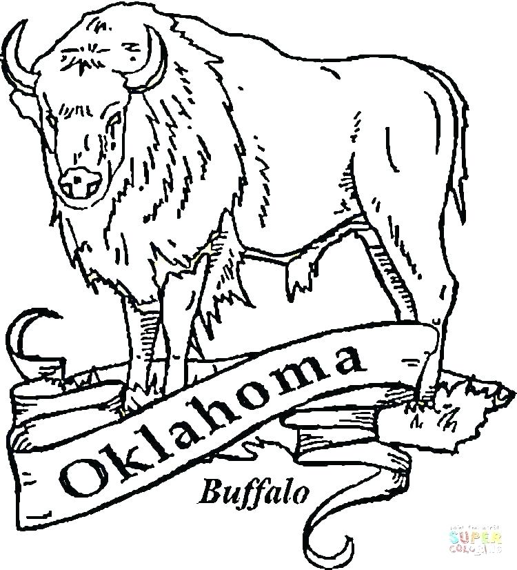 750x826 Buffalo Coloring Pages Soldiers Coloring Pages Buffalo Coloring