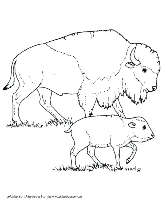 670x820 Buffalo Coloring Pages