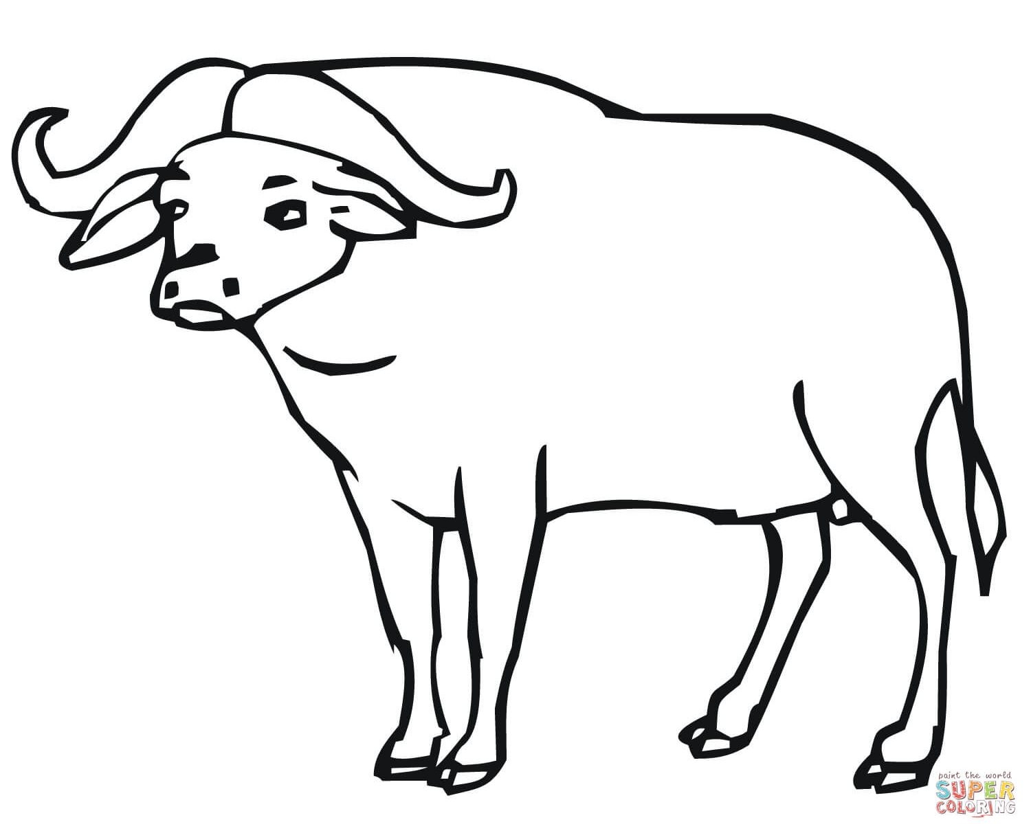 1500x1200 Water Buffalo Coloring Pages To Print Coloring For Kids 2018