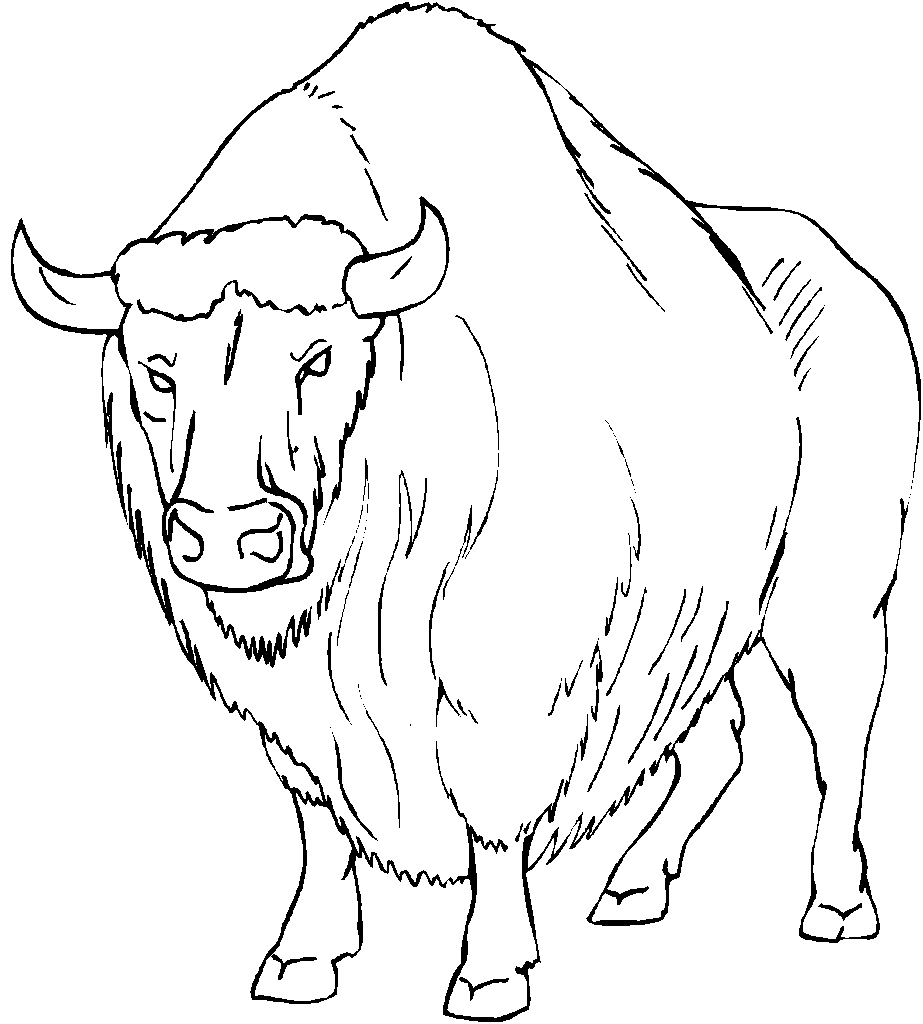 923x1024 Bison Coloring Pages