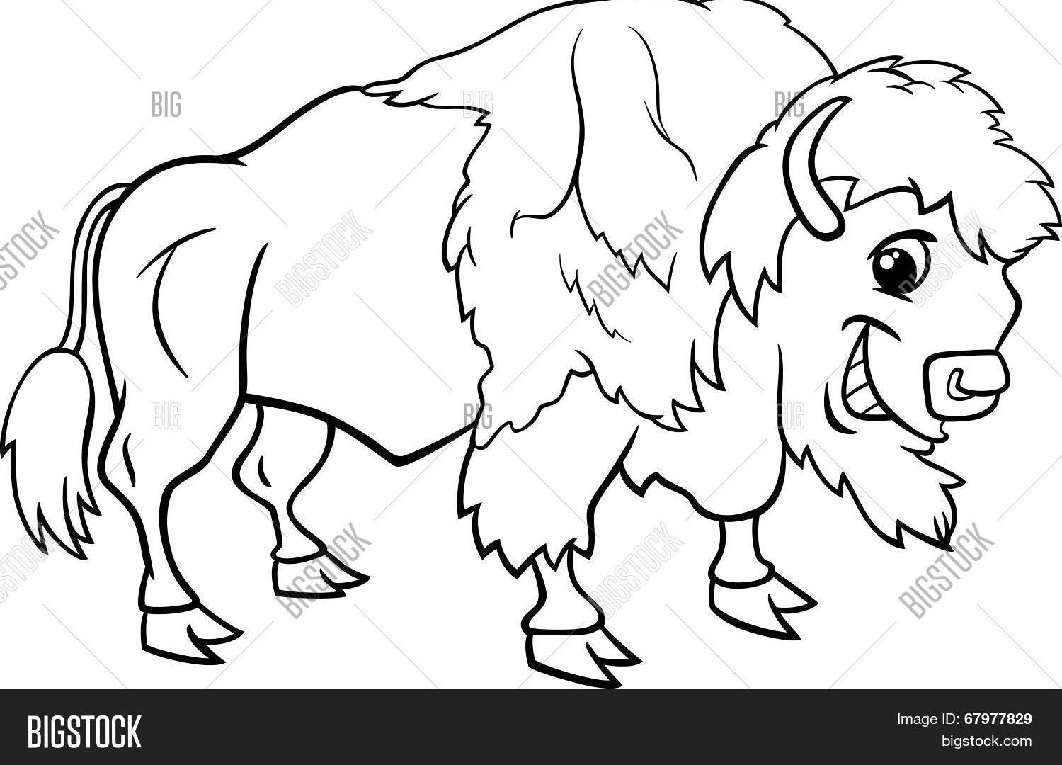 1500x1080 Buffalo Coloring Page
