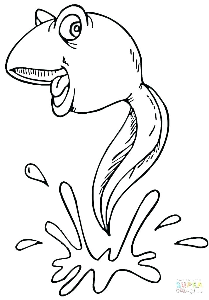 713x1024 Water Conservation Colouring Pages Amazing Water Cycle Coloring
