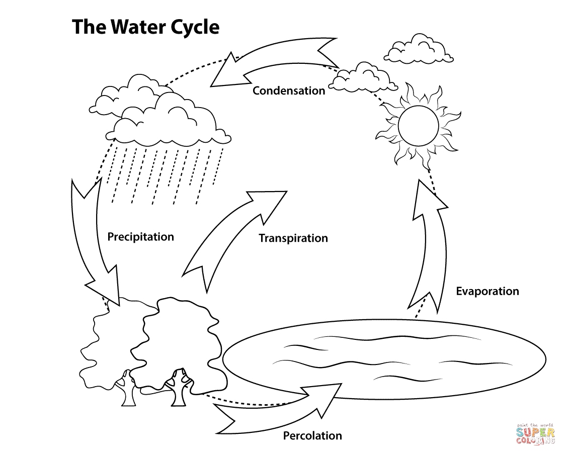 1125x907 Water Cycle Coloring Page Unique Simple Water Cycle Coloring Page