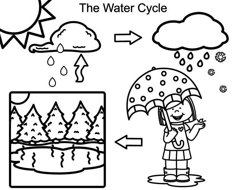 800x640 Water Cycle Worksheets For Preschoolers Coloring Pages Draw Rock